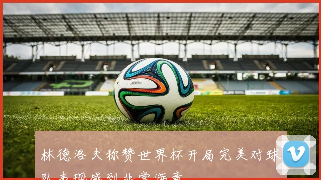 林德洛夫称赞世界杯开局完美对球队表现感到非常满意
