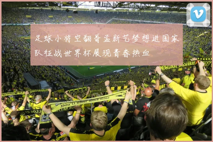 足球小将空翻哥孟新艺梦想进国家队征战世界杯展现青春热血